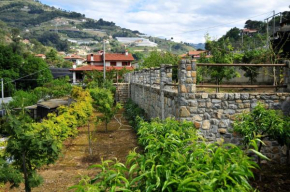 Le Rose, San Biagio Della Cima